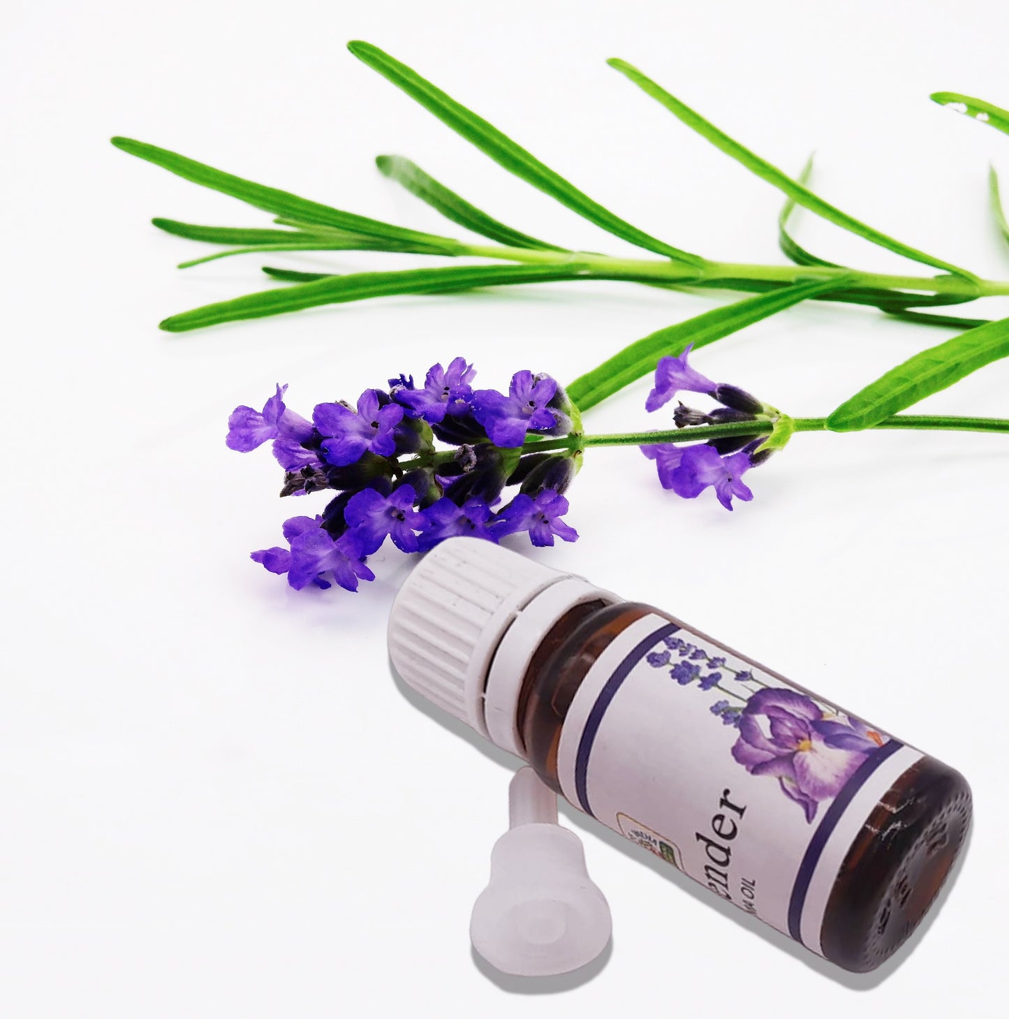 >> Saquito Térmico de Semillas para Microondas Aroma Lavanda + Aceite Esencial Lavanda 10 ml - Alivia Dolores Cervicales y Lumbares - Hecho en España